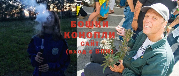 прущие грибы Армянск