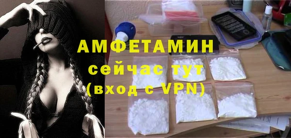 твердый Аркадак