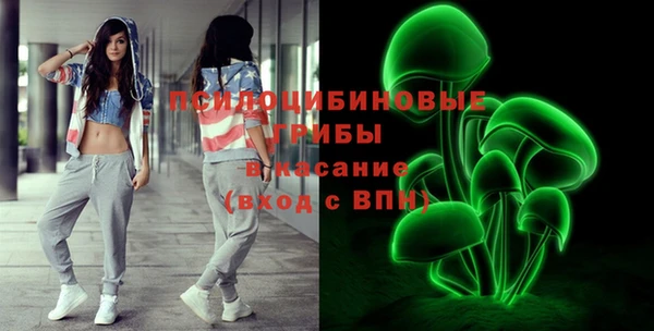 прущие грибы Армянск