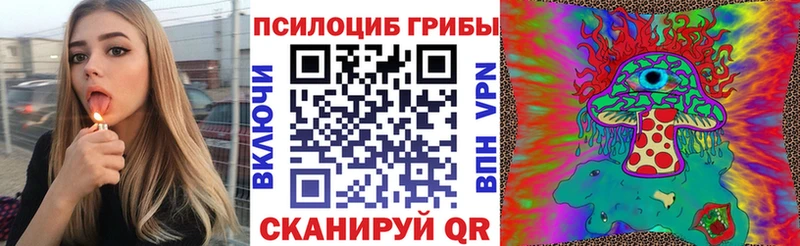 omg онион  Ясногорск  Галлюциногенные грибы Magic Shrooms 